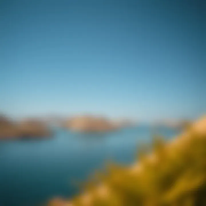 Magnificent Exploring Al Qudra Love Lake: A Unique Attraction in Dubai's Real Estate Landscape