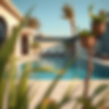 Affordable Pool Design in Dubai An elegant backyard pool design showcasing affordability and style