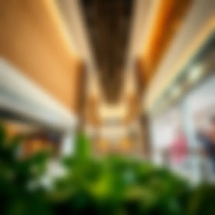 Luxury brands showcased in Al Maryah Mall