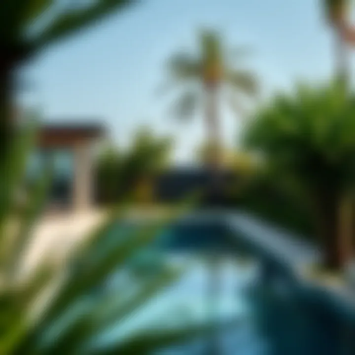 Lush greenery and coastal scenery in a residential setting