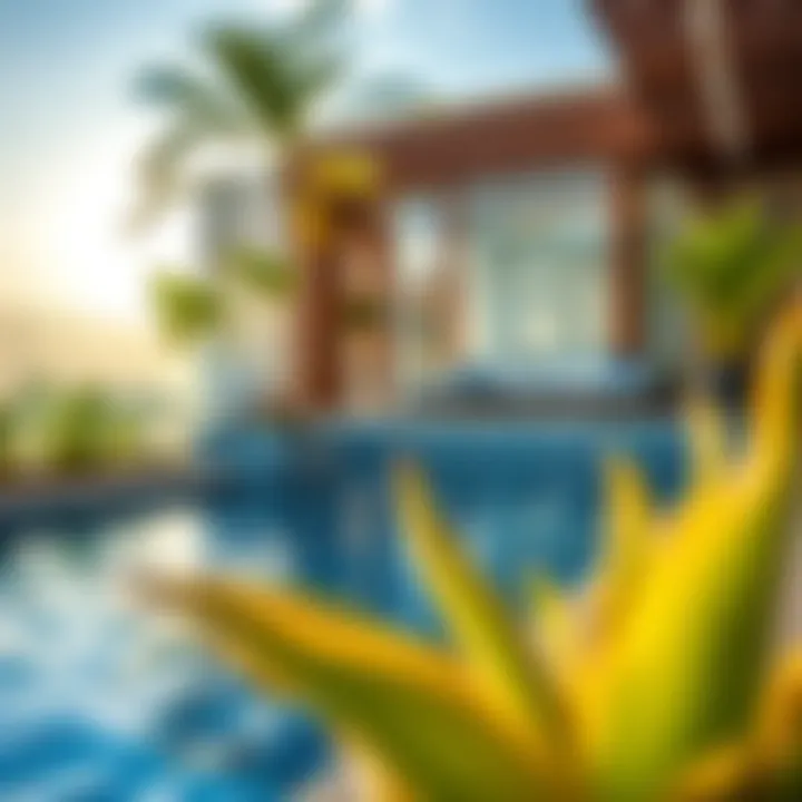 Effective Pool Maintenance Strategies Maintenance tools and strategies for budget-friendly pool upkeep