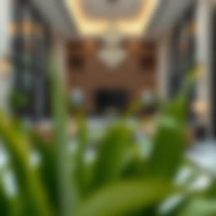 Exploring Al Hamriya Residence 2: A Comprehensive Guide Introduction