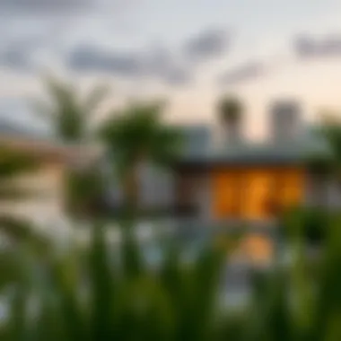 Notable Exploring Anna Villas in Discovery Gardens