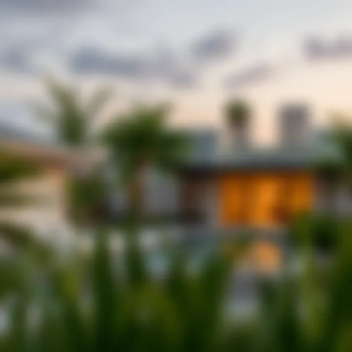Notable Exploring Anna Villas in Discovery Gardens