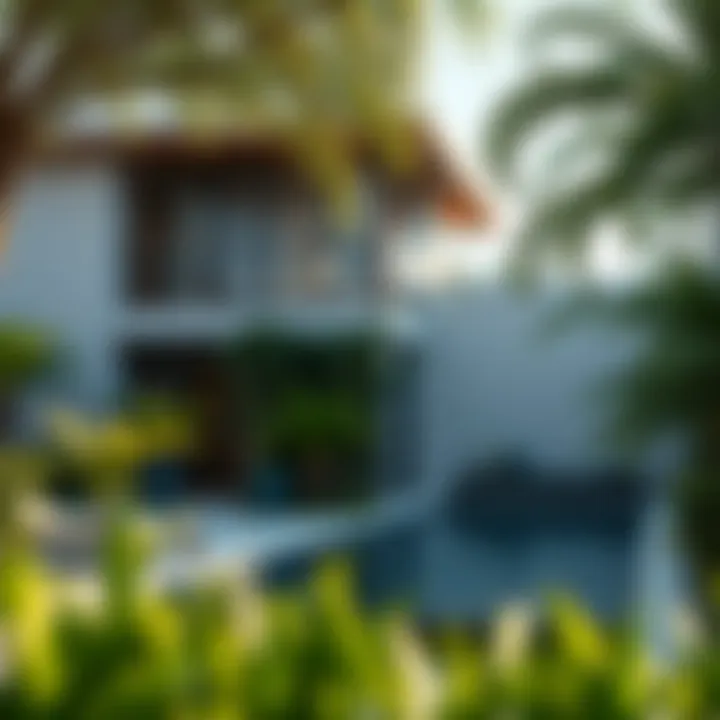 Exploring Anna Villas in Discovery Gardens Summary