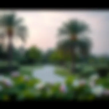 Parks and Recreational Areas in اسواق ند الشبا Lush green parks and recreational areas in اسواق ند الشبا