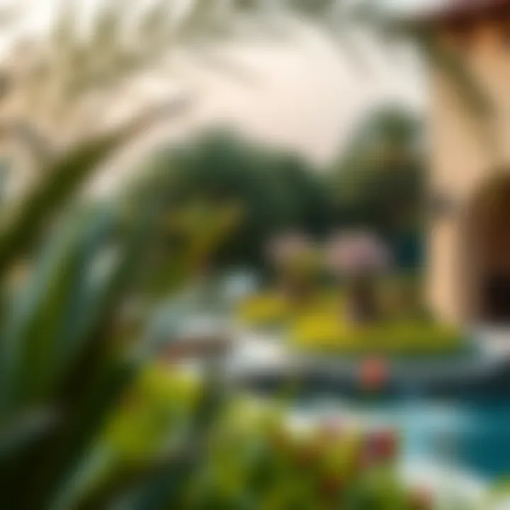 Notable Exploring Faya Bloom Gardens: A Nexus of Nature and Luxury in Dubai Notable Exploring Faya Bloom Gardens: A Nexus of Nature and Luxury in Dubai