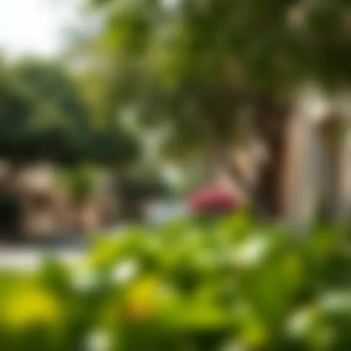 Tranquil neighborhood streets in Al Nahda with lush greenery.