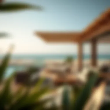 Analyzing the Real Estate Influence of Mamzar Beach Chalet Impact of Mamzar Beach Chalet on Dubai's real estate market