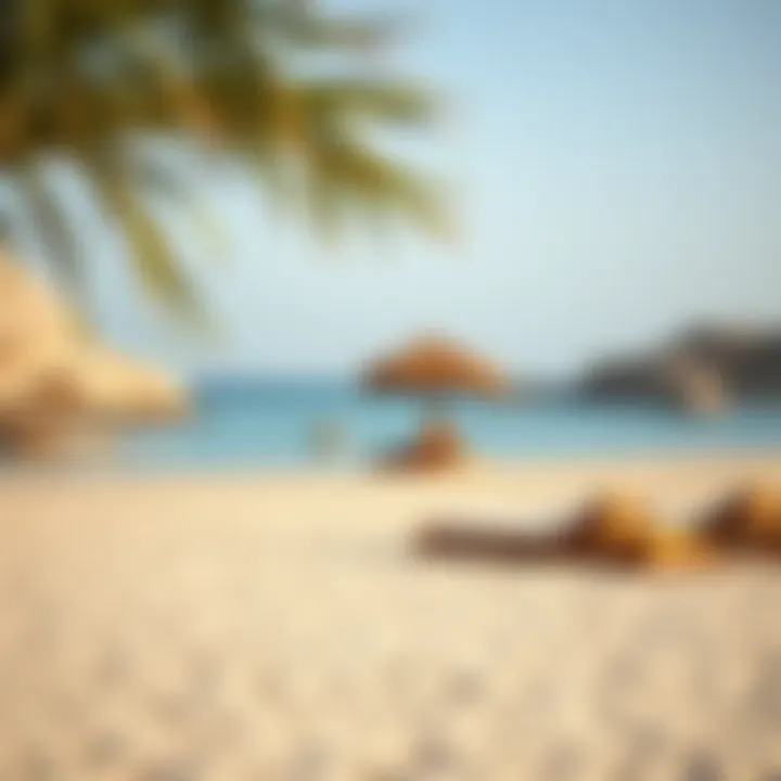 Serene beach with soft sand and clear waters