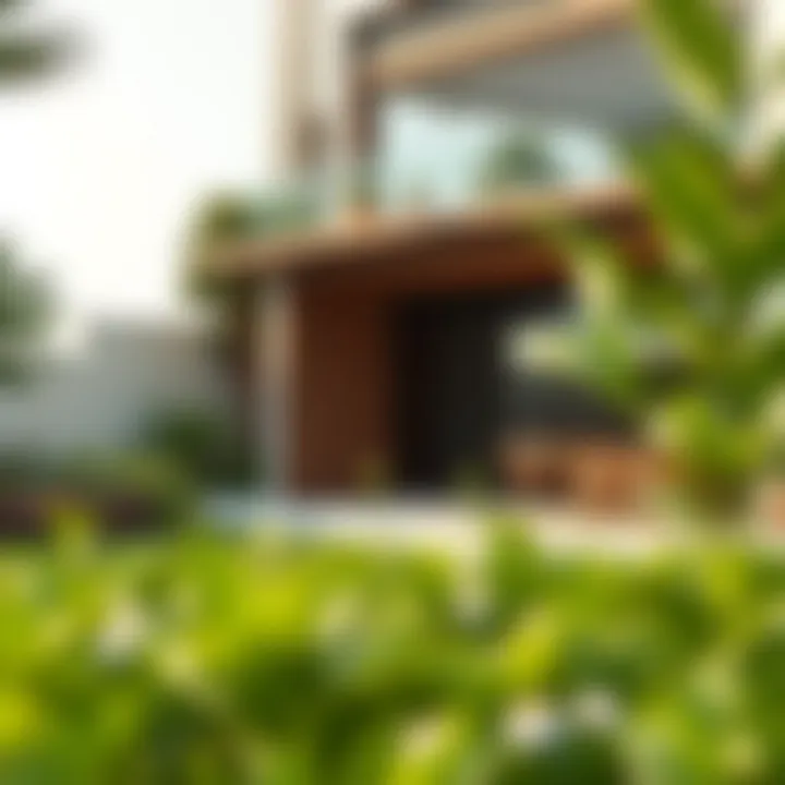 Sustainable Garden Designs in Dubai Farmhouses Sustainable garden design at a Dubai farmhouse emphasizing eco-friendly living