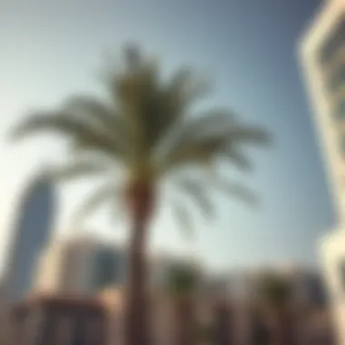 Notable Exploring the Significance of the Palm Tree in Dubai's Culture and Real Estate Notable Exploring the Significance of the Palm Tree in Dubai's Culture and Real Estate