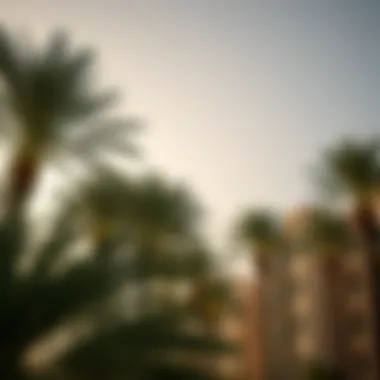 Exploring the Significance of the Palm Tree in Dubai's Culture and Real Estate Summary Exploring the Significance of the Palm Tree in Dubai's Culture and Real Estate Summary