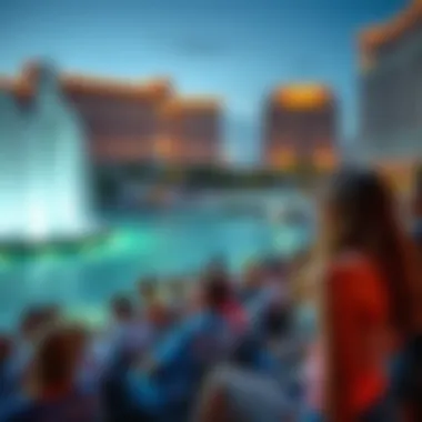 Audience captivated by the enchanting fountain performance