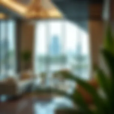 Visa Upgrades and Their Implications for Families Implications of visa upgrades