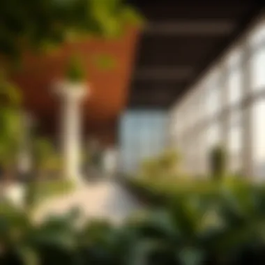 Sustainable building practices by Laya Developers