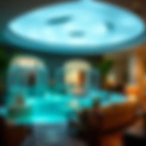 Mira Oasis: Understanding Its Place in Dubai's Real Estate Market Introduction