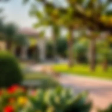 Vibrant community park in Nahda 2 filled with greenery and families