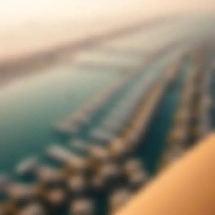 Aerial view of Palm Jumeirah highlighting property developments