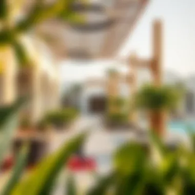 Vibrant community spaces created by Nakheel in Ras Al Khaimah