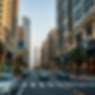Investment Opportunities in Sheikh Zayed Street Real Estate Real estate developments along Sheikh Zayed Street highlighting investment opportunities