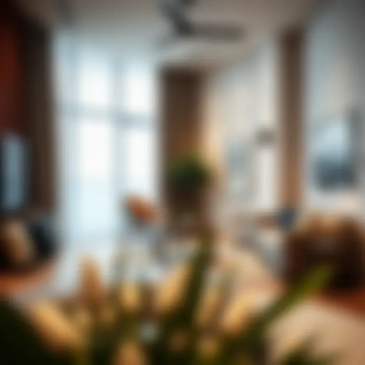 Sophisticated Studio Living in Tecom Modern studio interior design showcasing living space