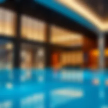 Exceptional Amenities at Vida Dubai Mall Amenities offered at Vida Dubai Mall including a swimming pool and fitness center